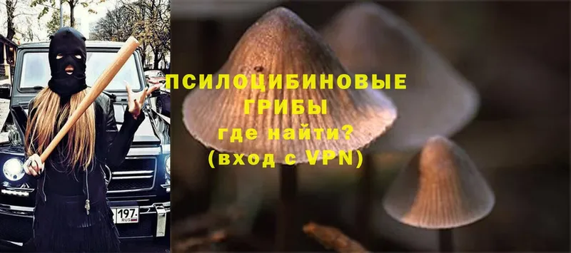 OMG зеркало  Приволжск  Галлюциногенные грибы Psilocybe  где найти  